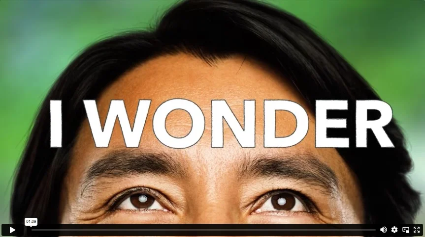 Wonder Literacy Video - Immune System 