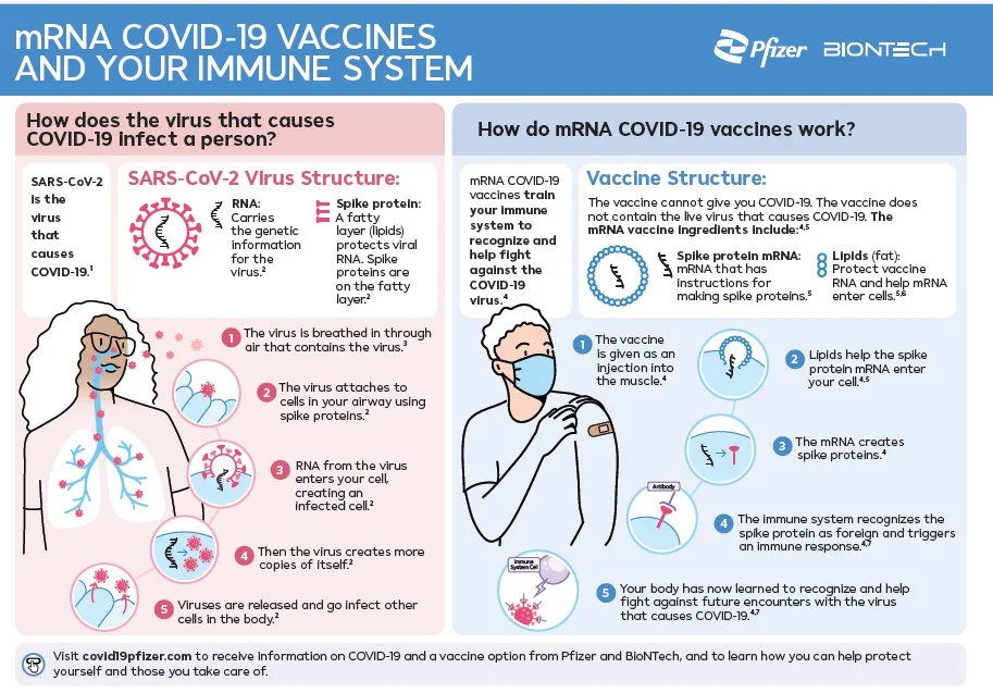 mRNA COVID-19 Vaccines Explained Infographic