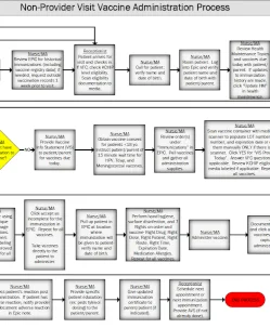 Non-Provider Visit Vaccine Administration Process