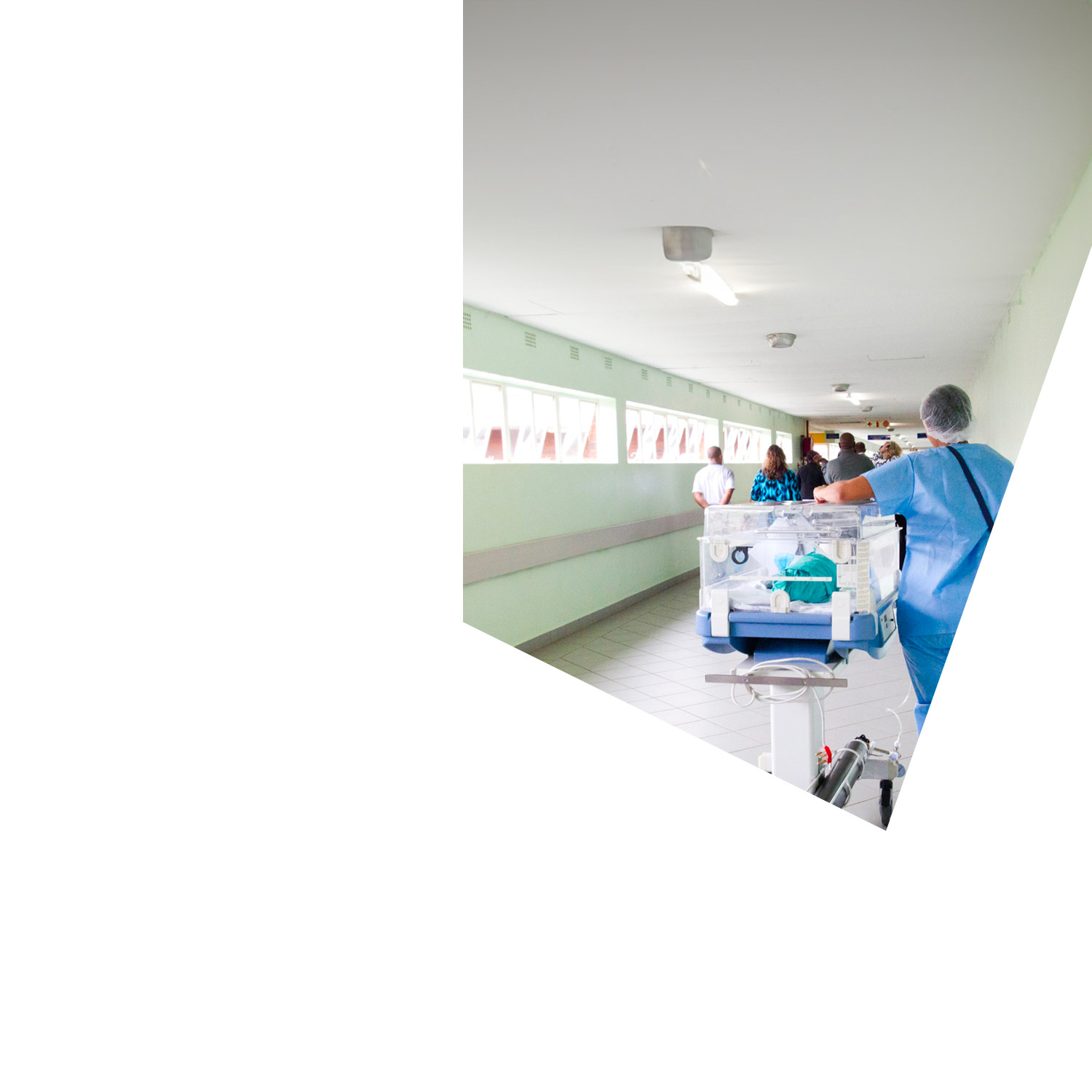 Leading the transformation that results in healthier people