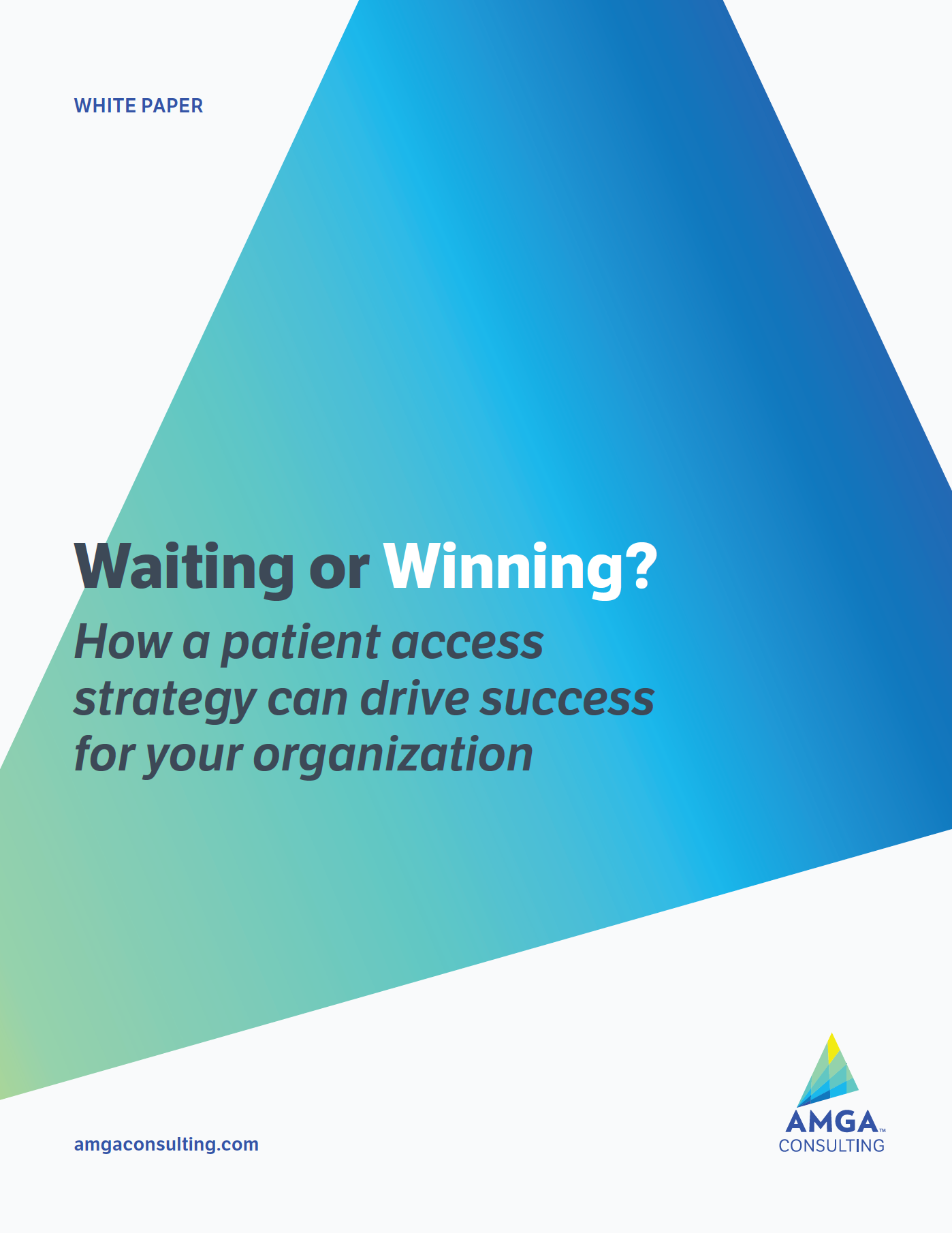 Waiting or Winning: How a Patient Access Strategy Can Drive Success